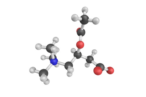 3d structure Acetyl-LCarnitine, which helps hormone production during exercise