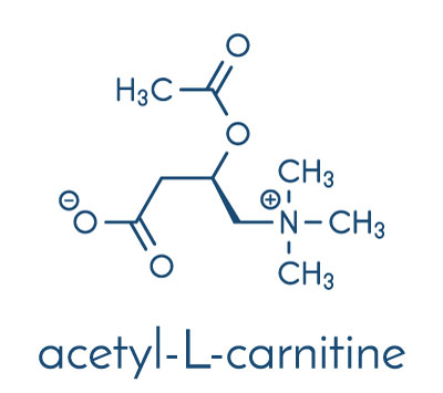 Acetyllcarnitine Molecular Structure and its amazing ability to stabilize testosterone production