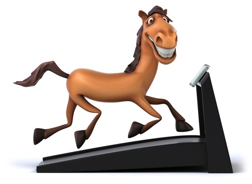 cartoon horse treadmill of a horse using acetyl l-carnitine to increase running speed and endurance