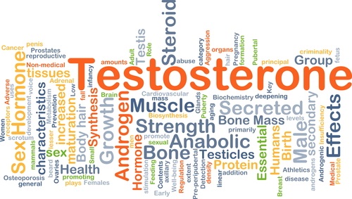 Testosoterone Word Cloud