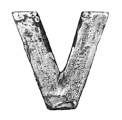 Virilis Fitness V symbol